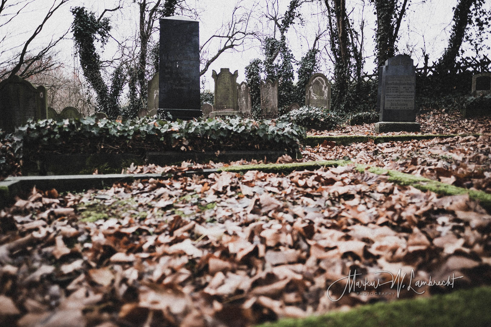 Dassel, Jüdischer Friedhof